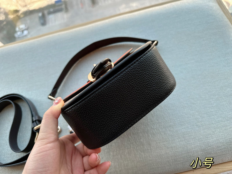 Satchel Bags - CCH Bags - 217