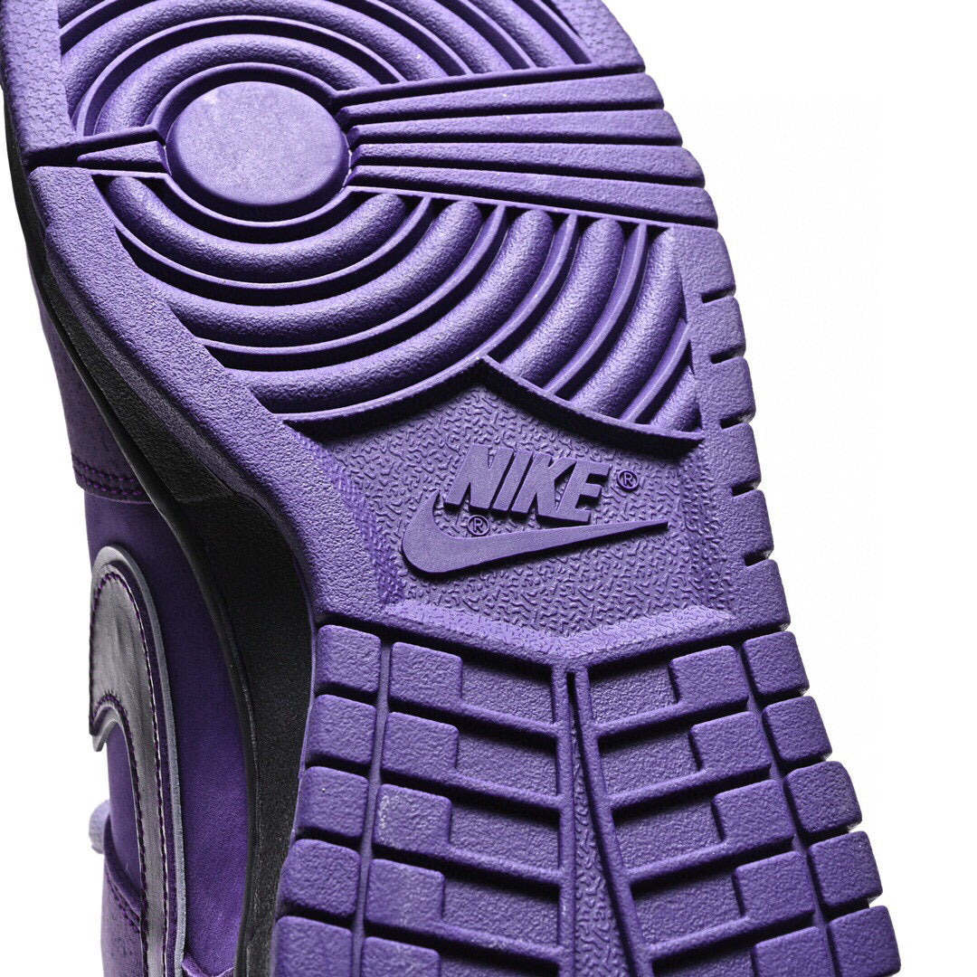 GLM - Concepts Purple Lobster