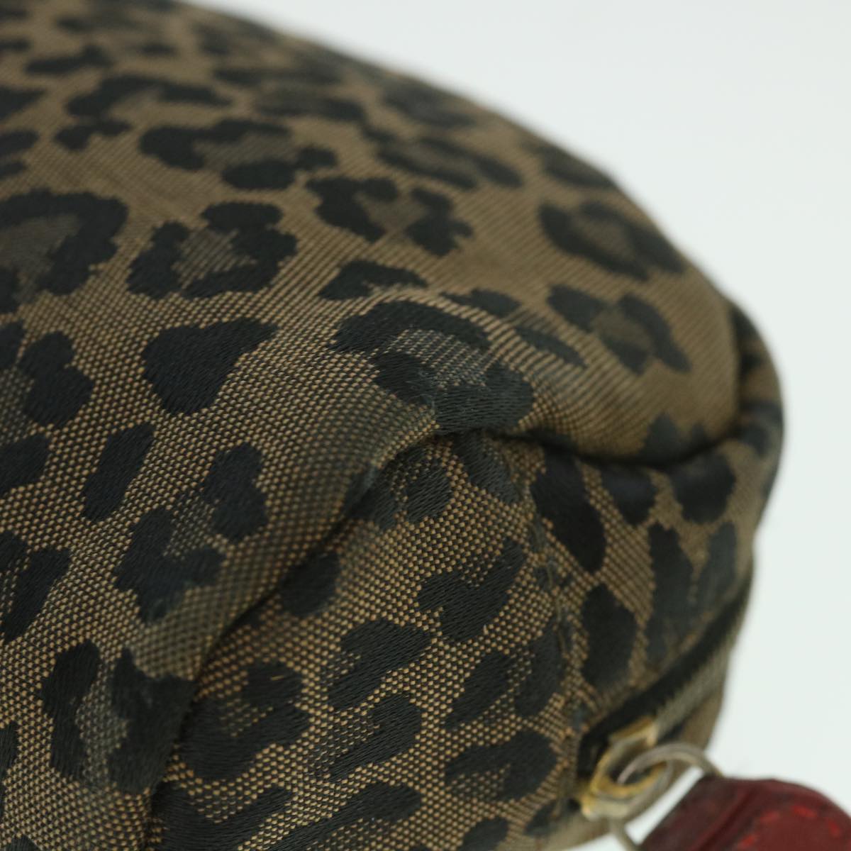 FENDI Leopard Pouch Canvas Brown ar10418