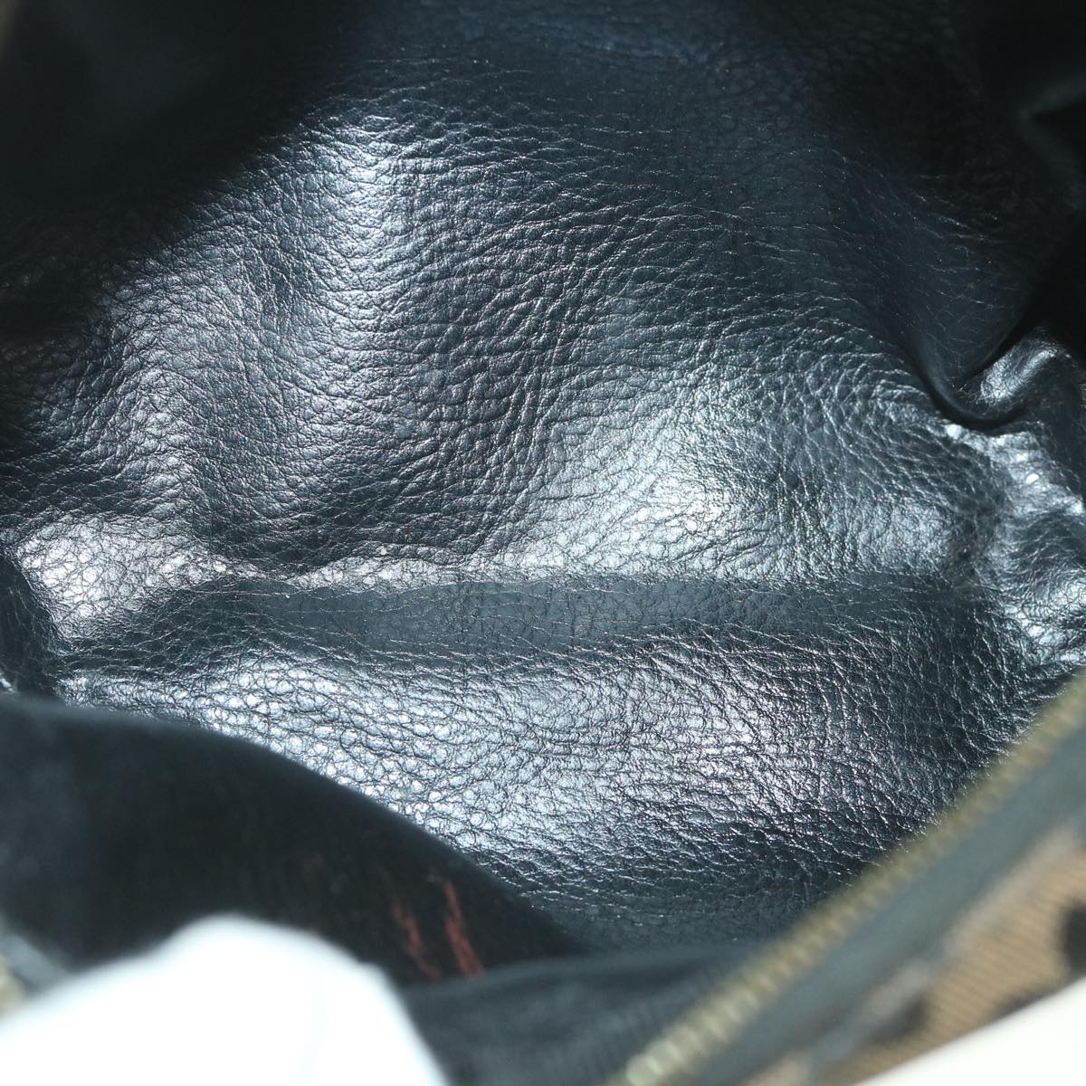 FENDI Leopard Pouch Canvas Brown ar10418