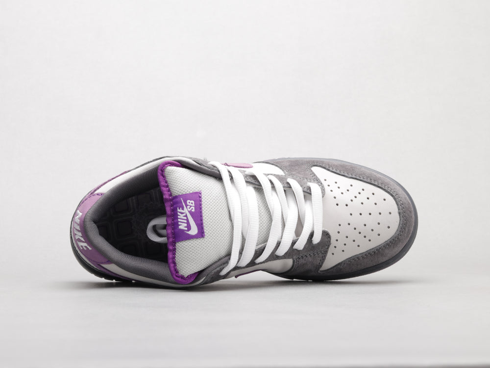 GLM - Grey-purple pigeon