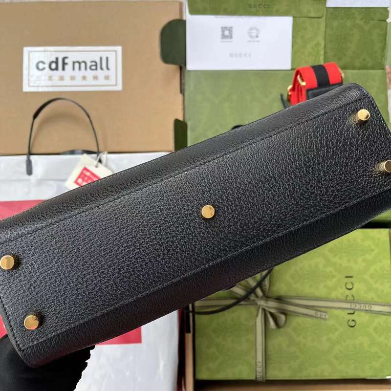 GUI2 Bags - Fashion Bags  495