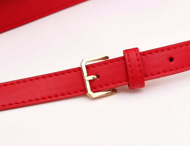 Fan Fashion -GLM - Top quality BBR Bags - 894