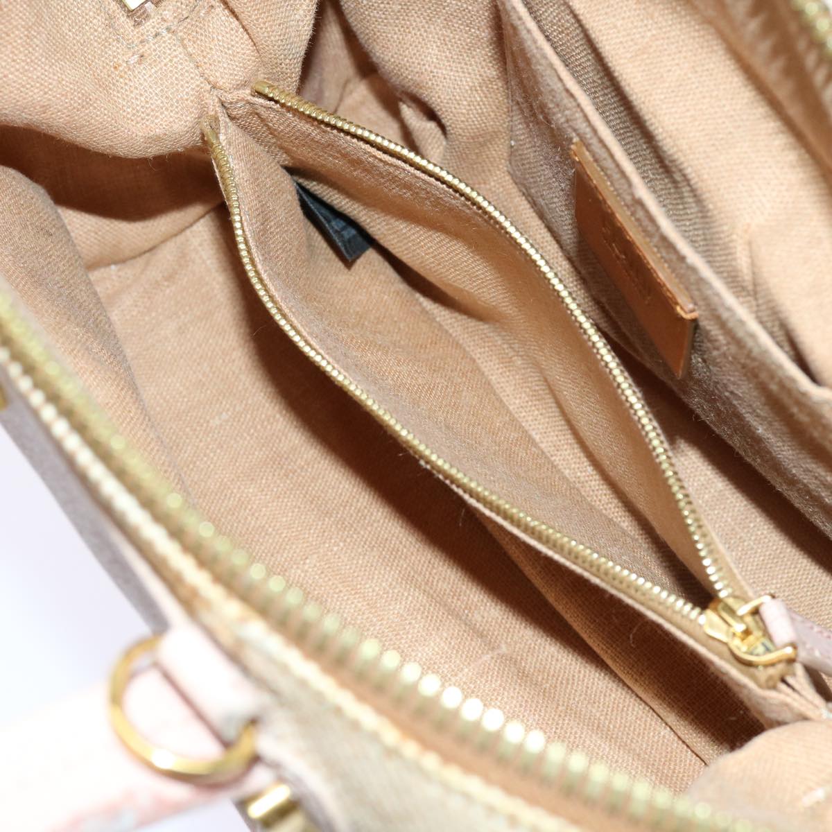 FENDI Chameleon Hand Bag Leather 2way Pink bs11132