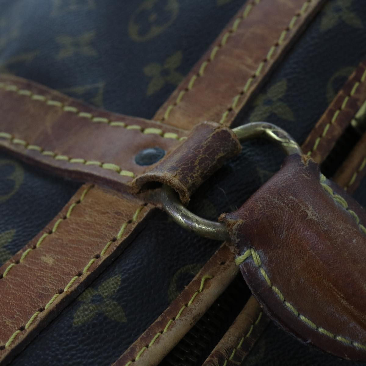 LOUIS VUITTON Monogram Sac Shan 55 Pet Carry M42020 LV bs11574