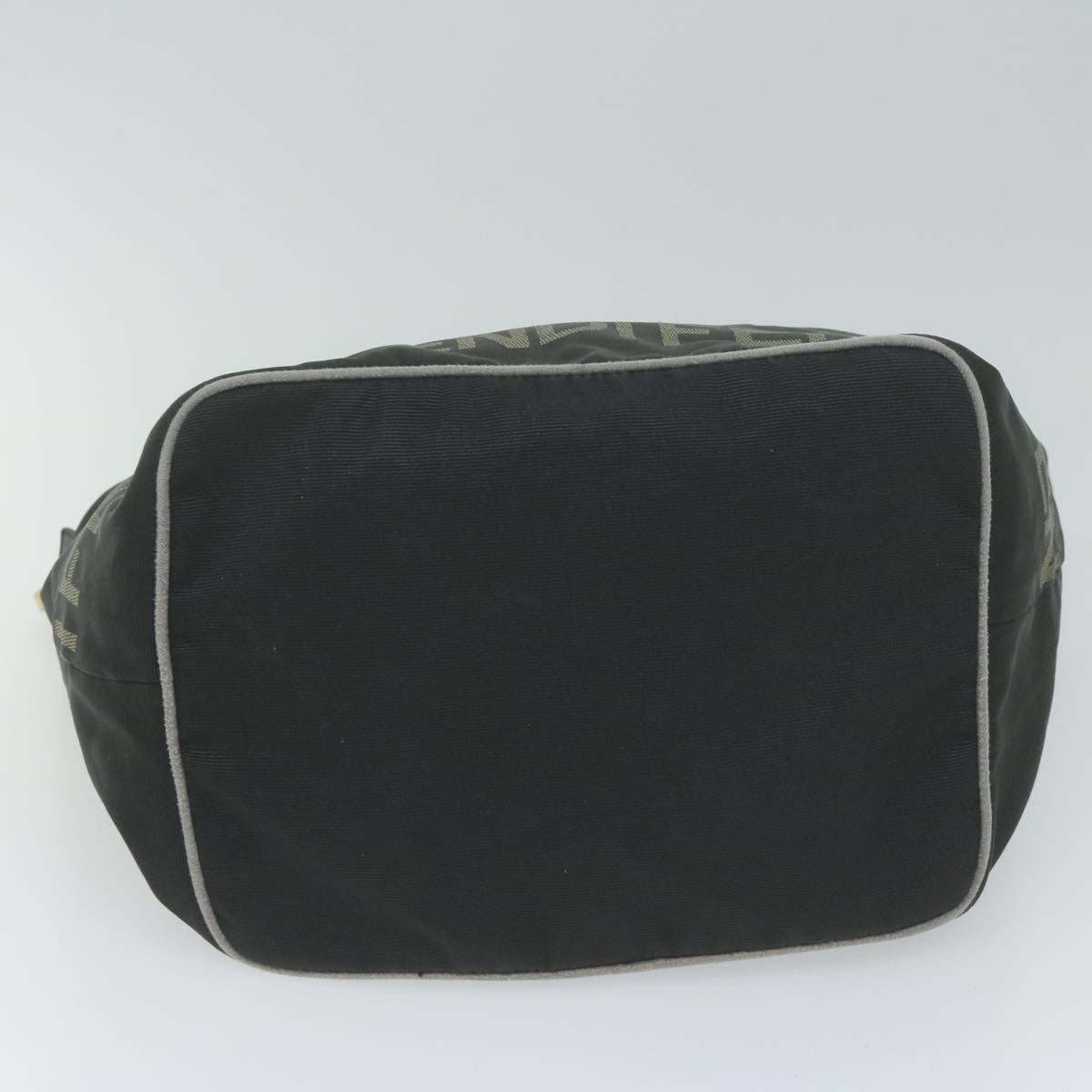 FENDI Pouch Pecan Canvas Shoulder Bag Canvas 2Set Black Brown bs11795