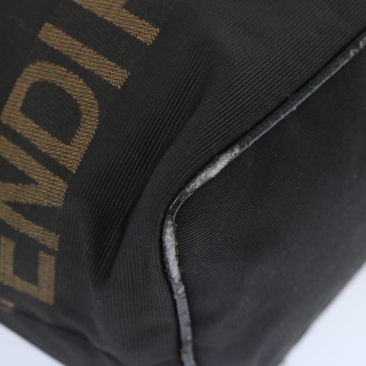 FENDI Hand Bag Canvas Black bs12314