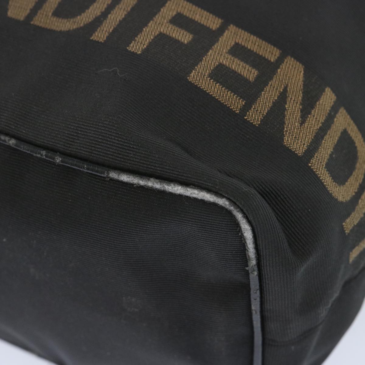 FENDI Hand Bag Canvas Black bs12314