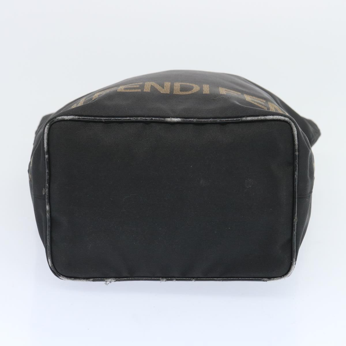 FENDI Hand Bag Canvas Black bs12314