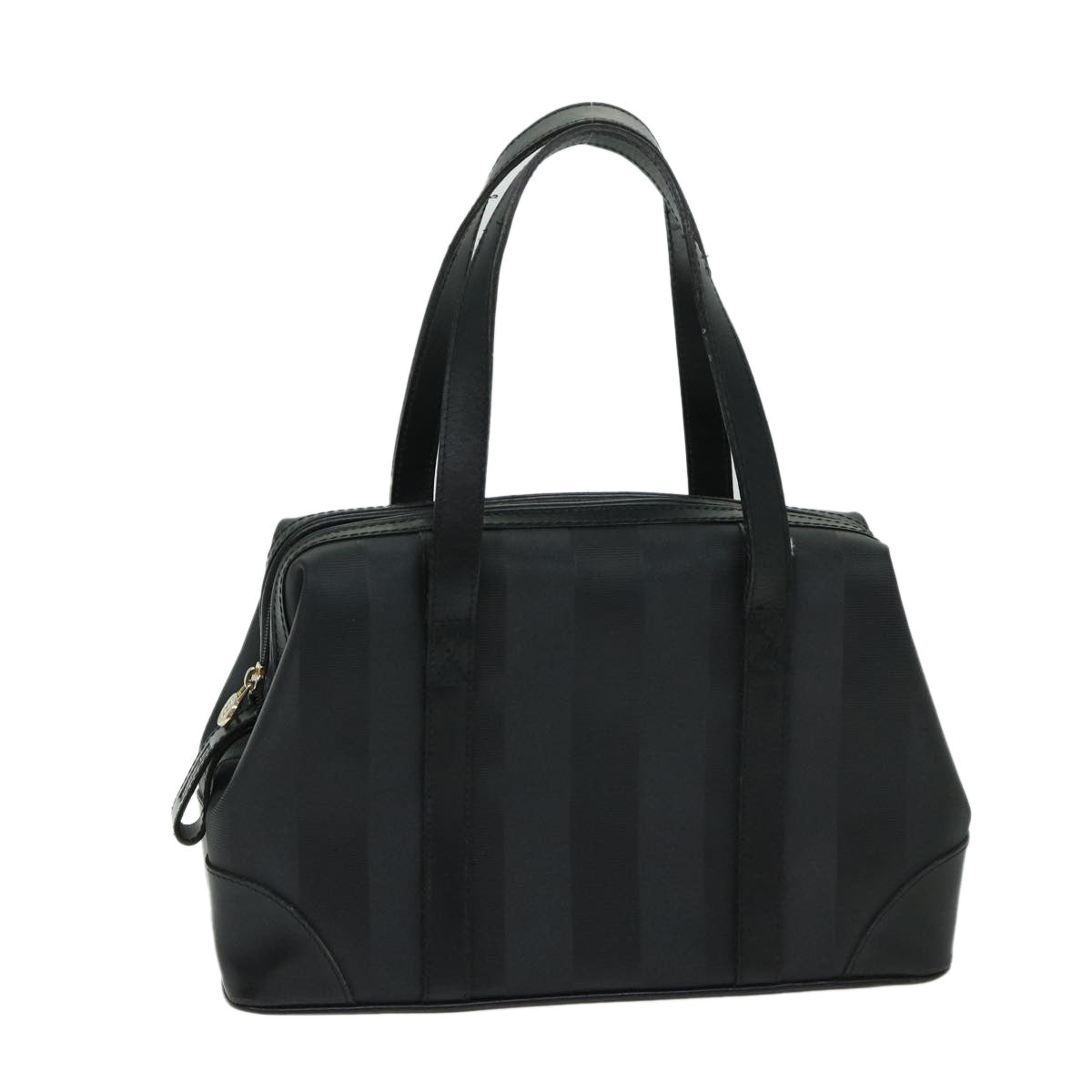 FENDI Pecan Canvas Hand Bag Black bs12934