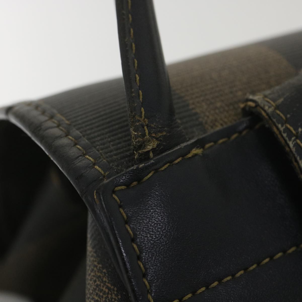 FENDI Pecan Canvas Backpack Brown Black bs4573