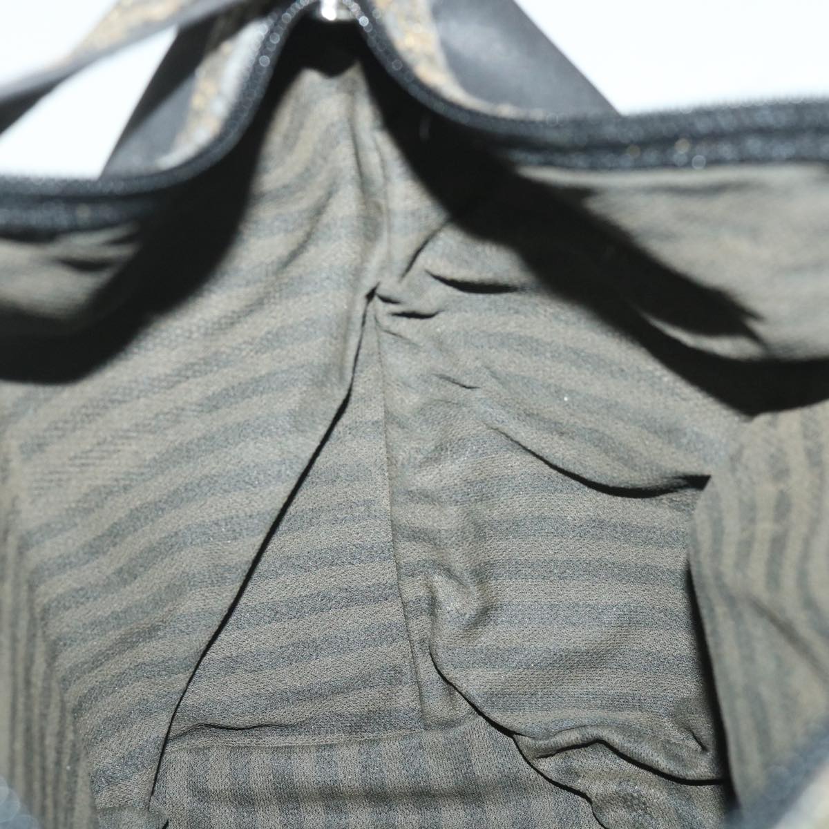 FENDI Pecan Canvas Hand Bag Black bs8734