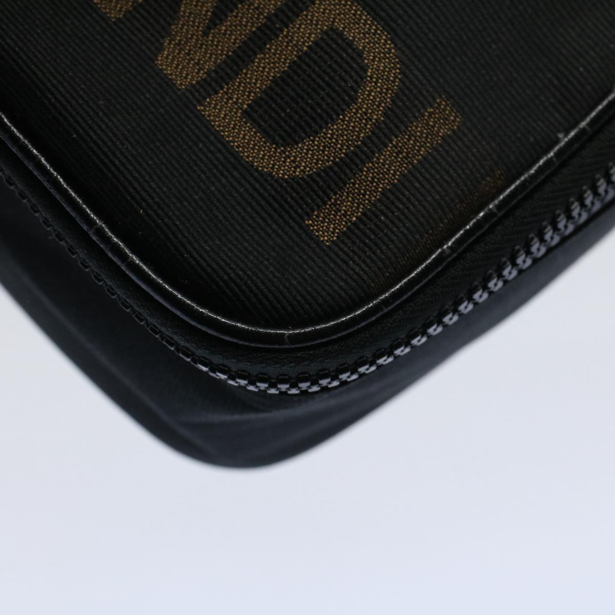 FENDI Hand Pouch Nylon Black Brown bs9727
