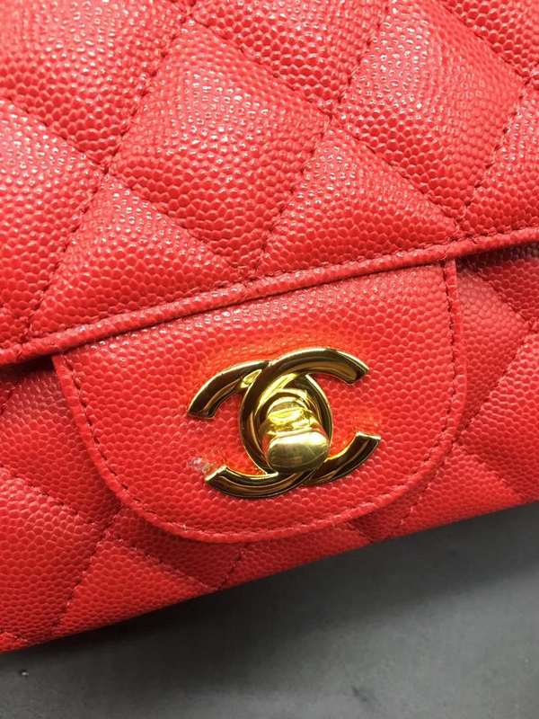 Satchel Bags - CHL Bags - 573