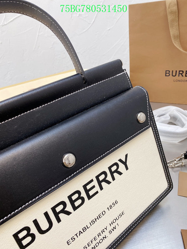 Fan Fashion -GLM - Top quality BBR Bags - 487