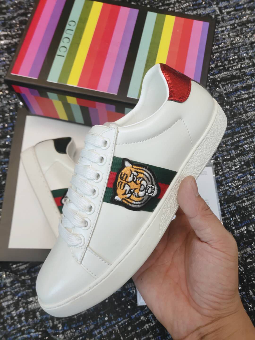 GLM-GCI Ace Tiger  Sneaker 036
