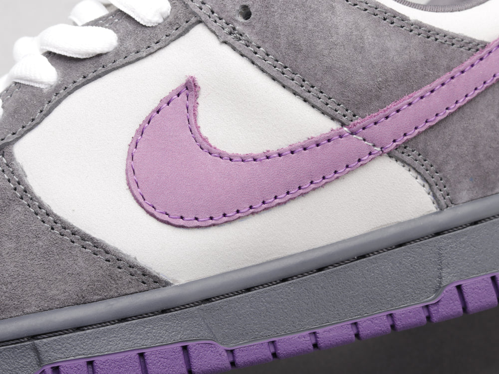 GLM - Grey-purple pigeon