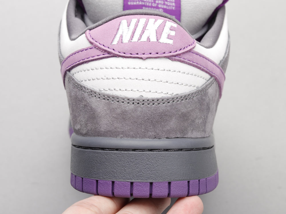 GLM - Grey-purple pigeon