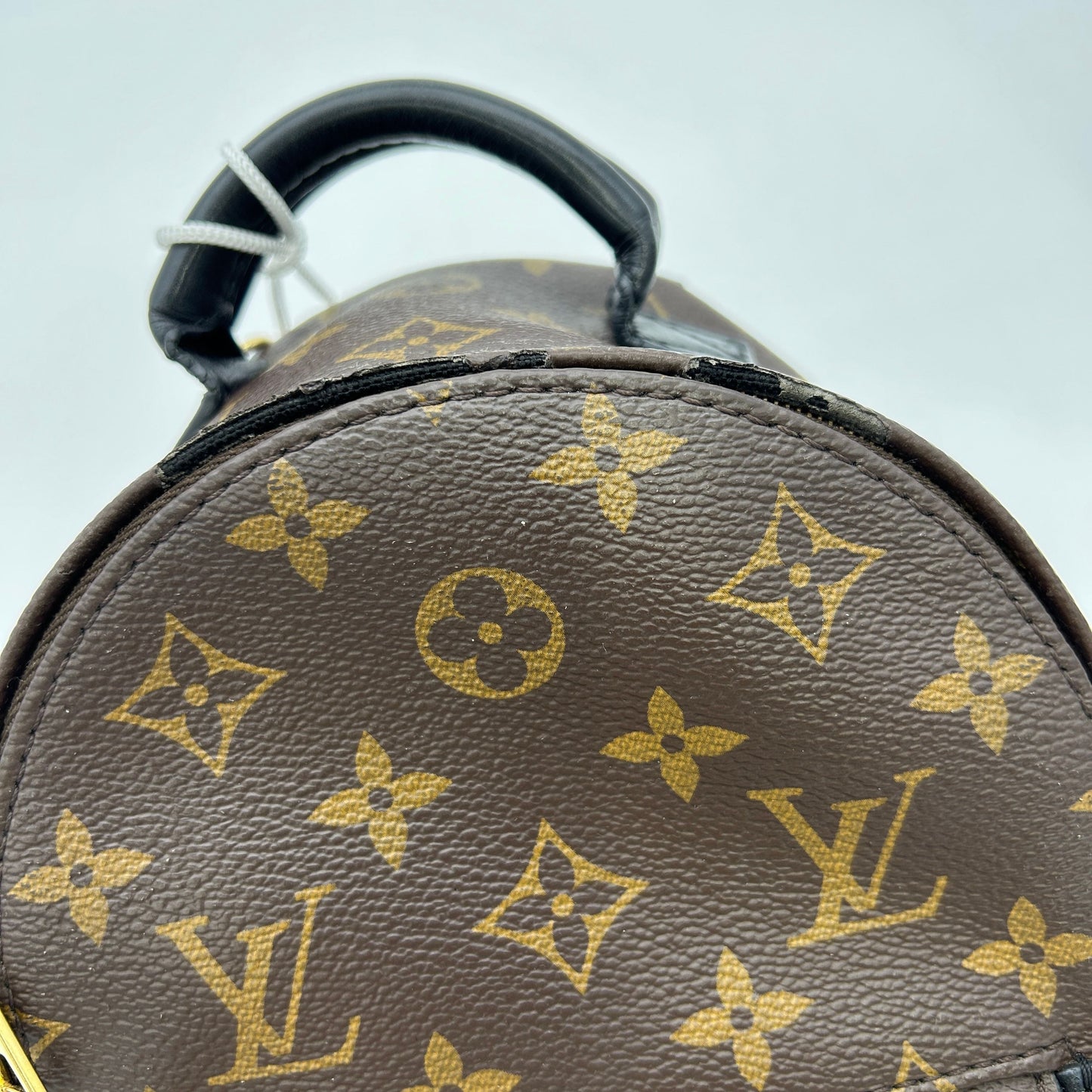 Louis Vuitton LV Monogram Palm Springs LA28323