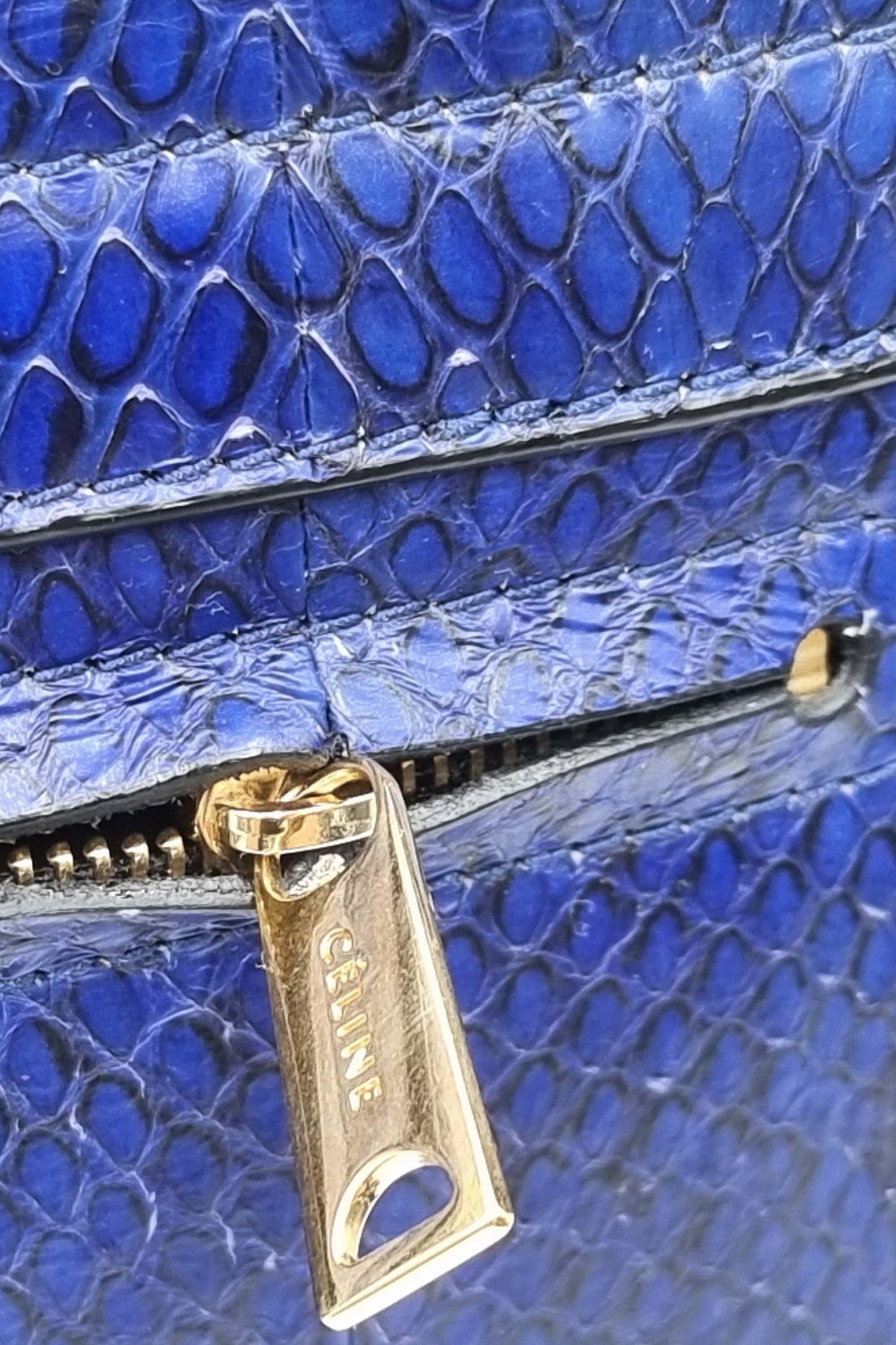 Trapeze Medium Python Blue Black