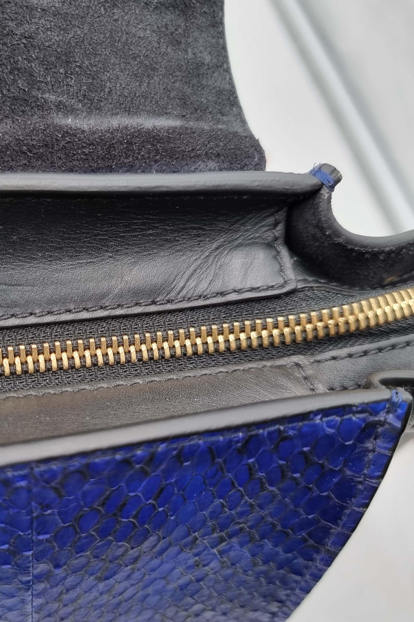Trapeze Medium Python Blue Black