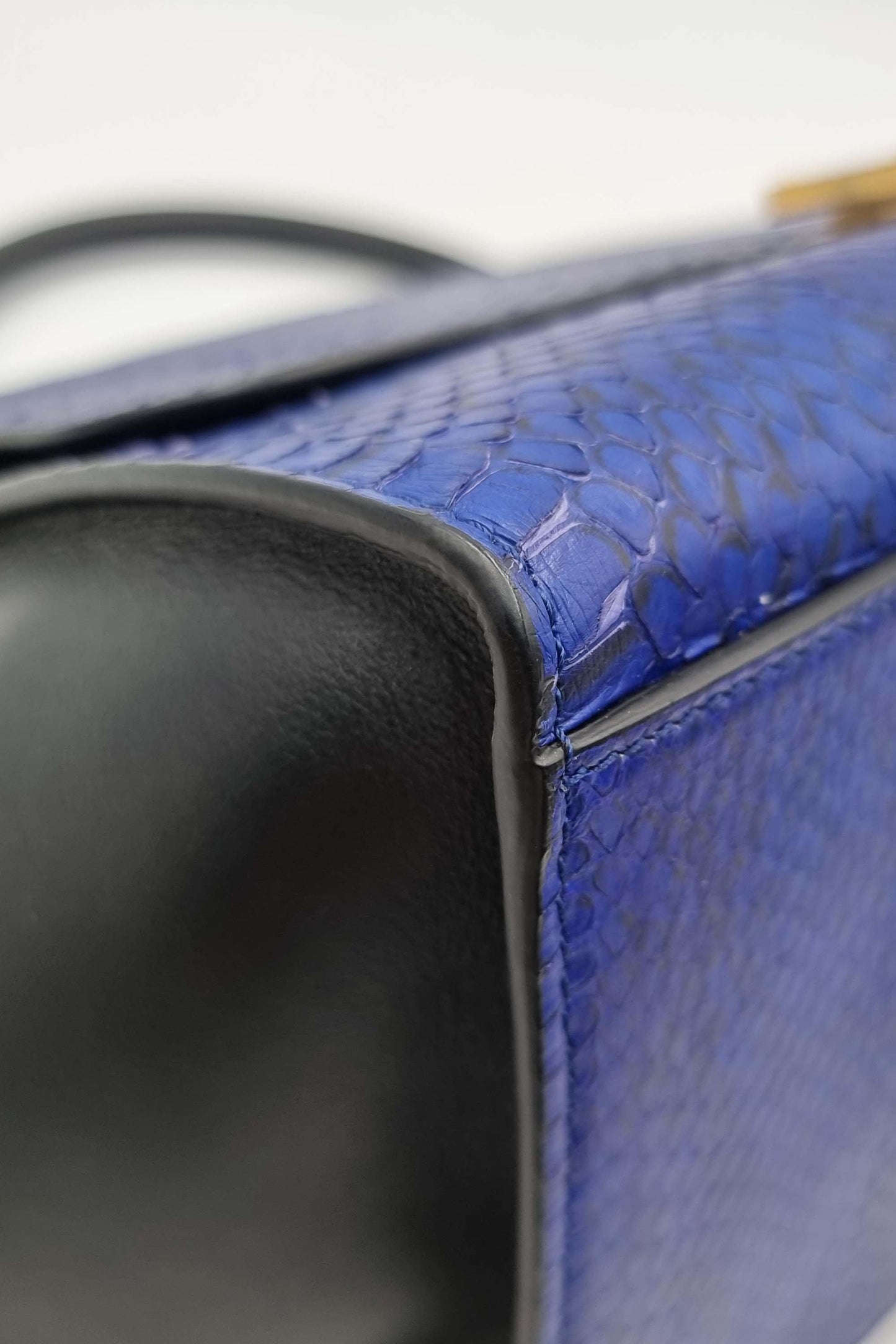 Trapeze Medium Python Blue Black