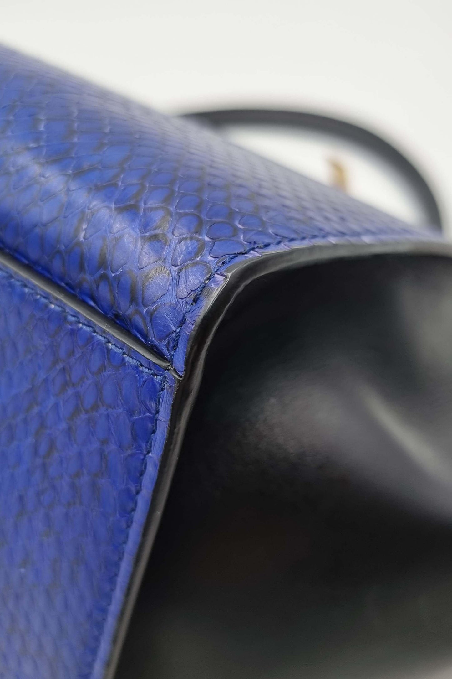 Trapeze Medium Python Blue Black