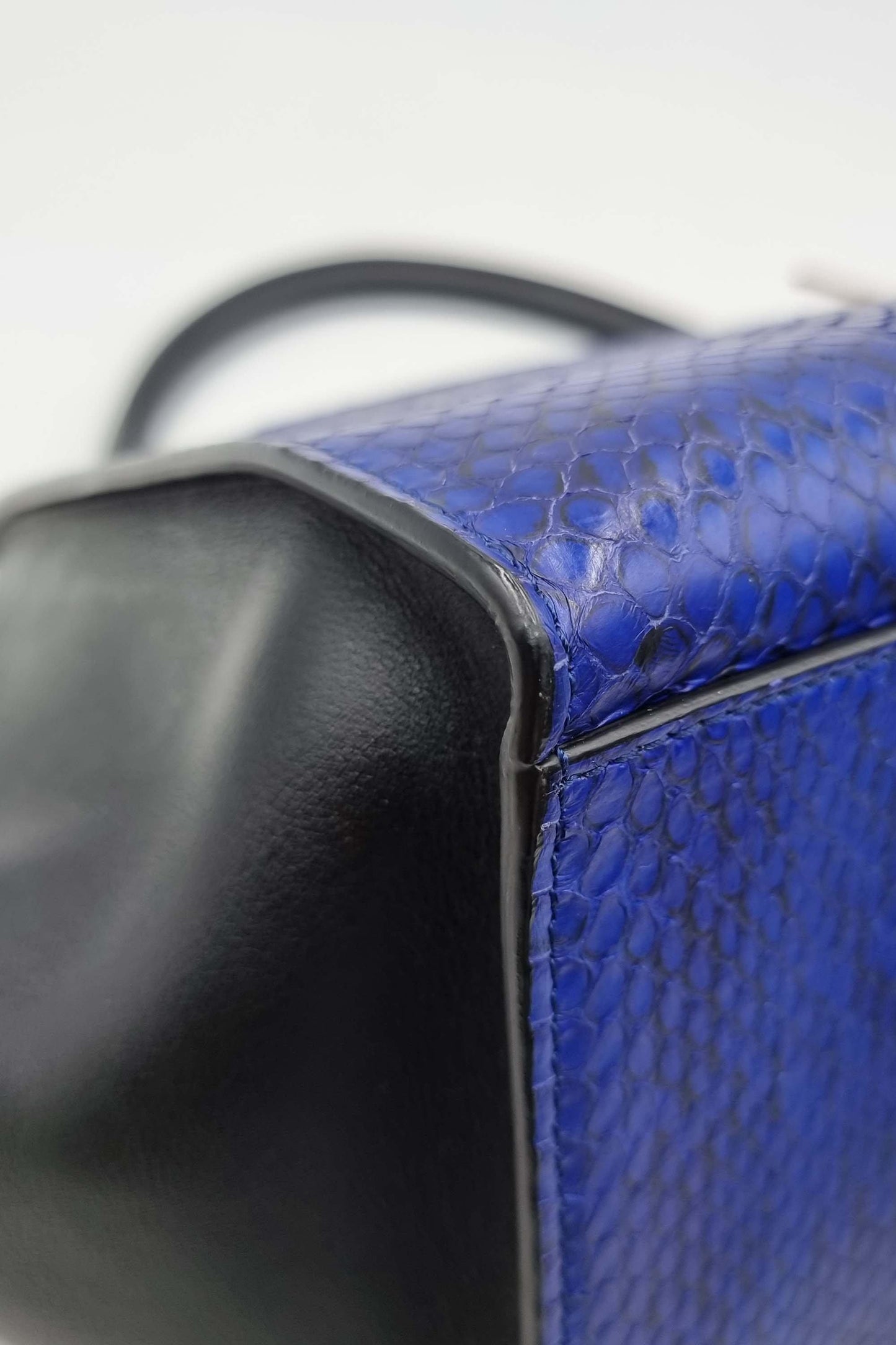Trapeze Medium Python Blue Black