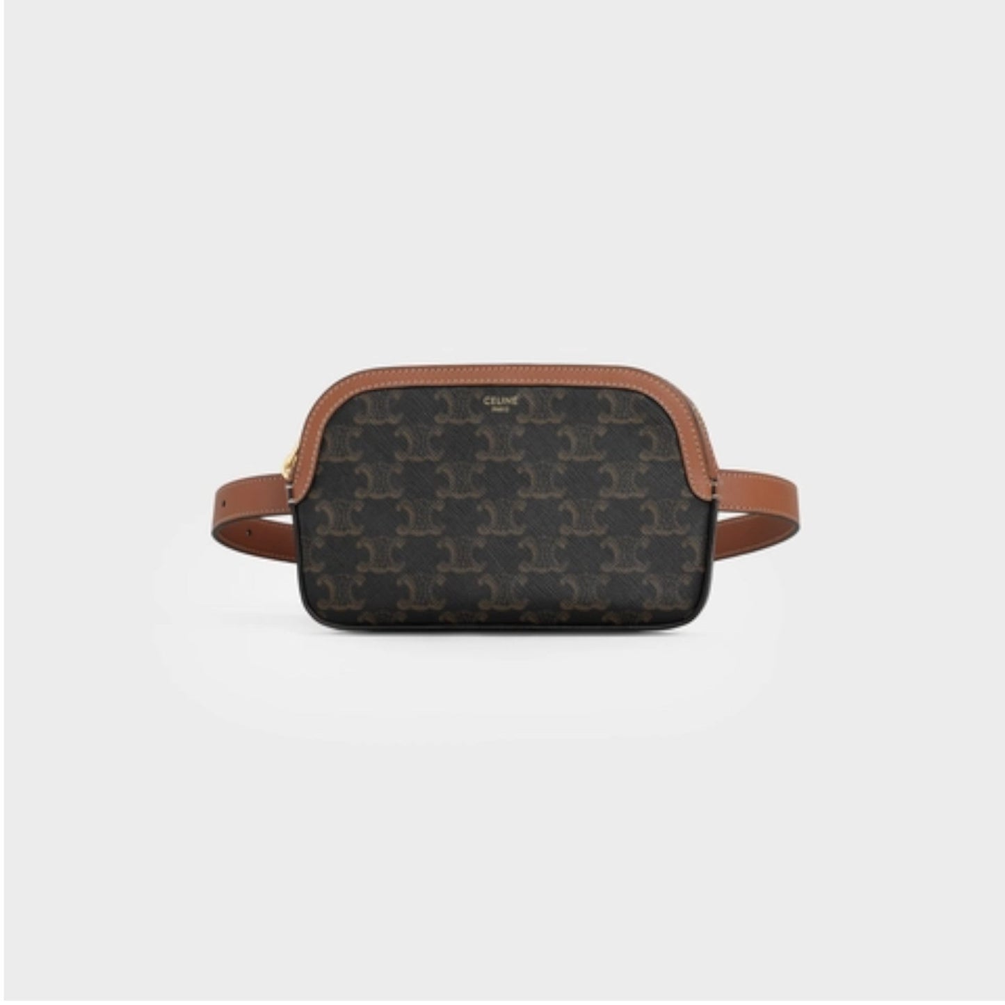 SMALL BELT BAG IN TRIOMPHE CANVAS