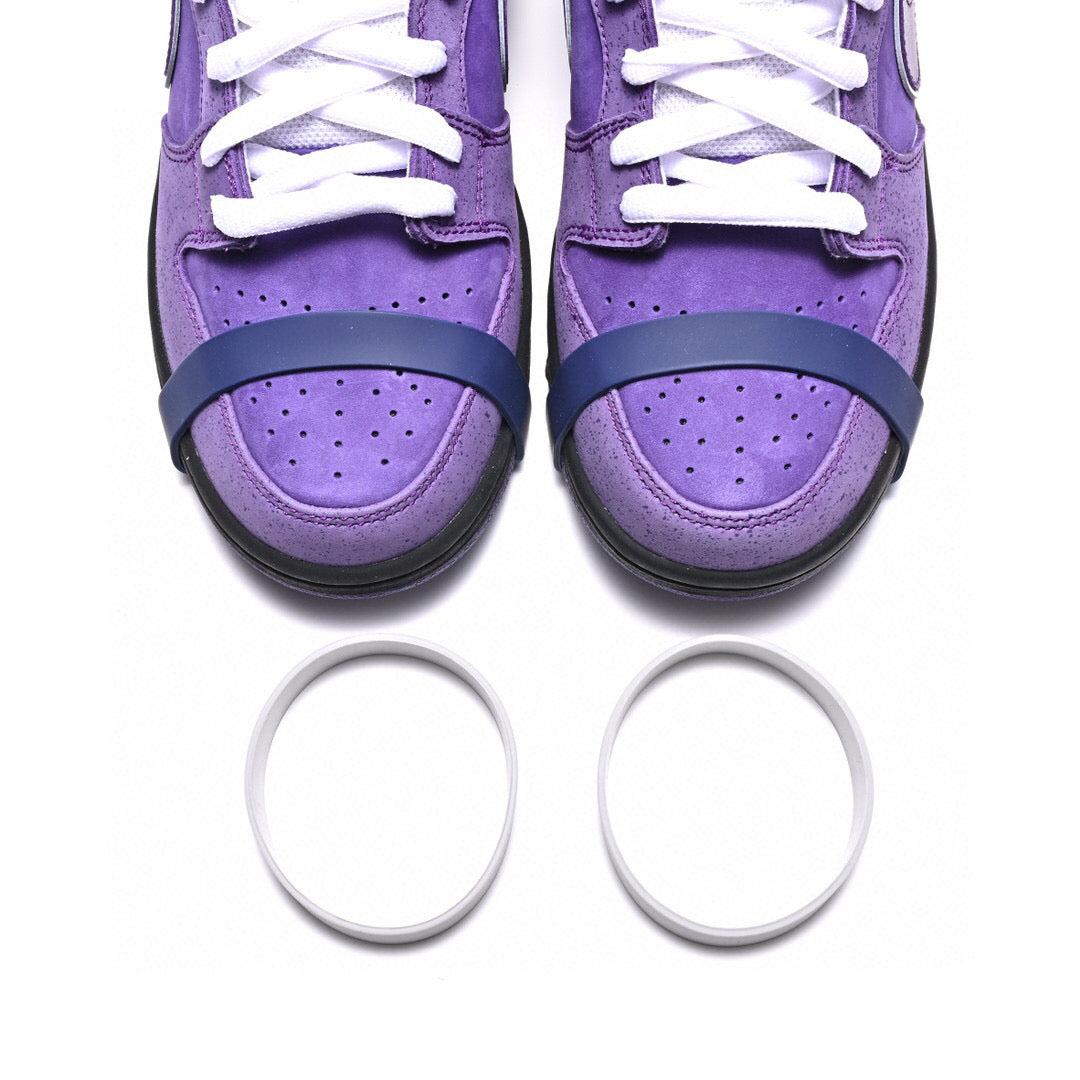GLM - Concepts Purple Lobster
