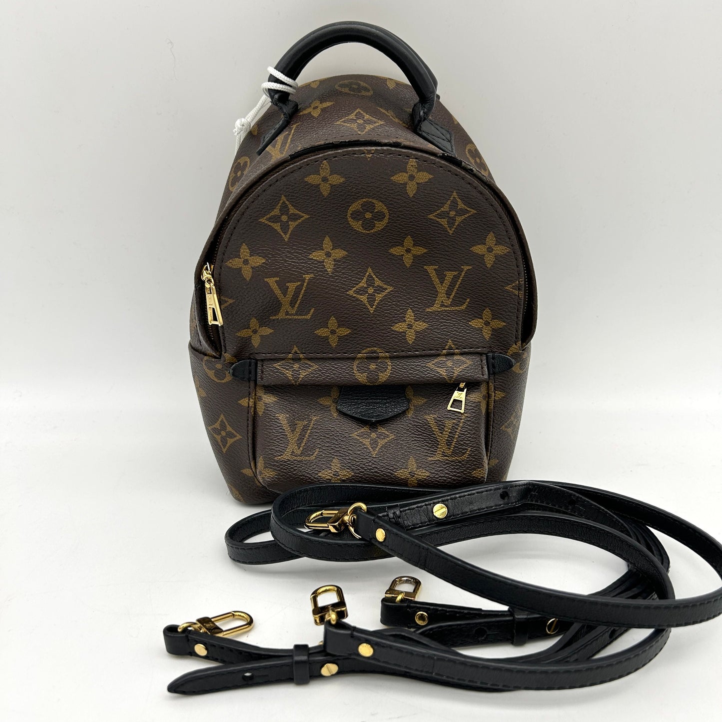 Louis Vuitton LV Monogram Palm Springs LA28323