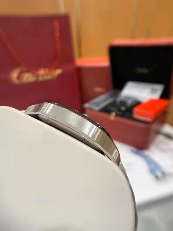 Satchel Bags - CTR Watches - 001