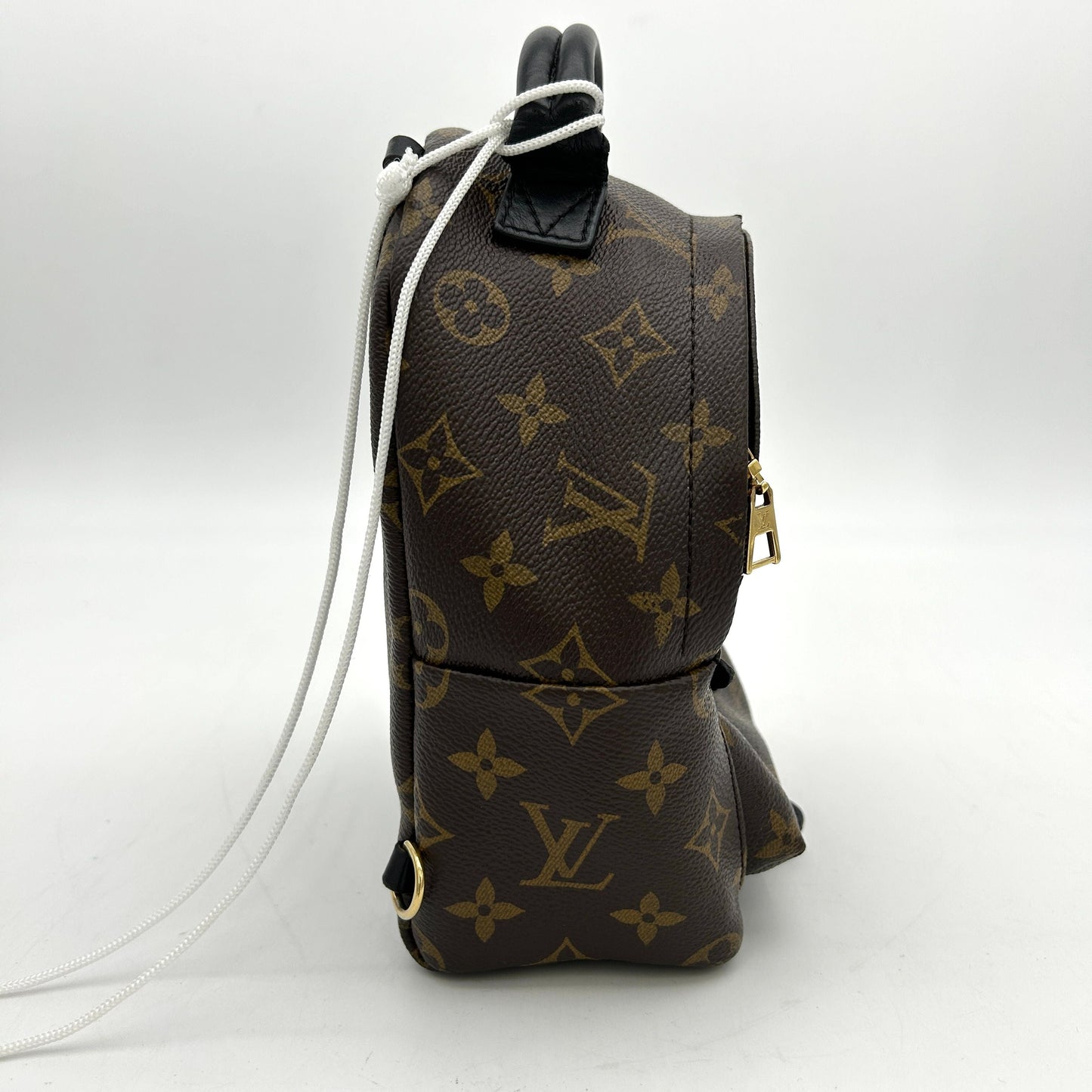 Louis Vuitton LV Monogram Palm Springs LA28323