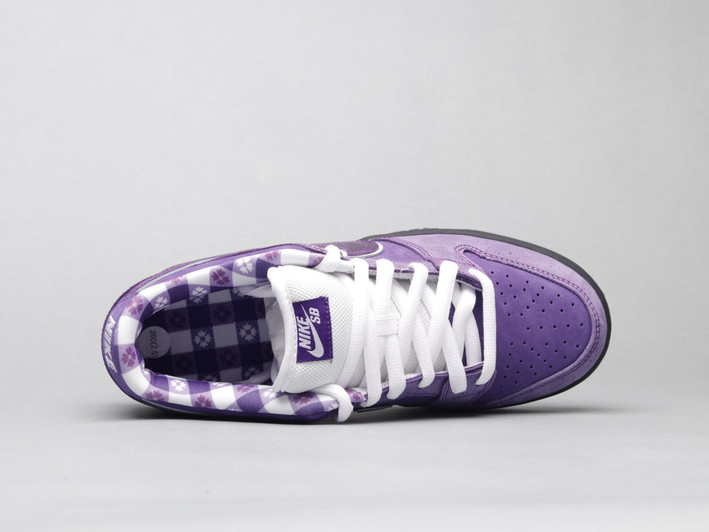 GLM - Concepts Purple Lobster