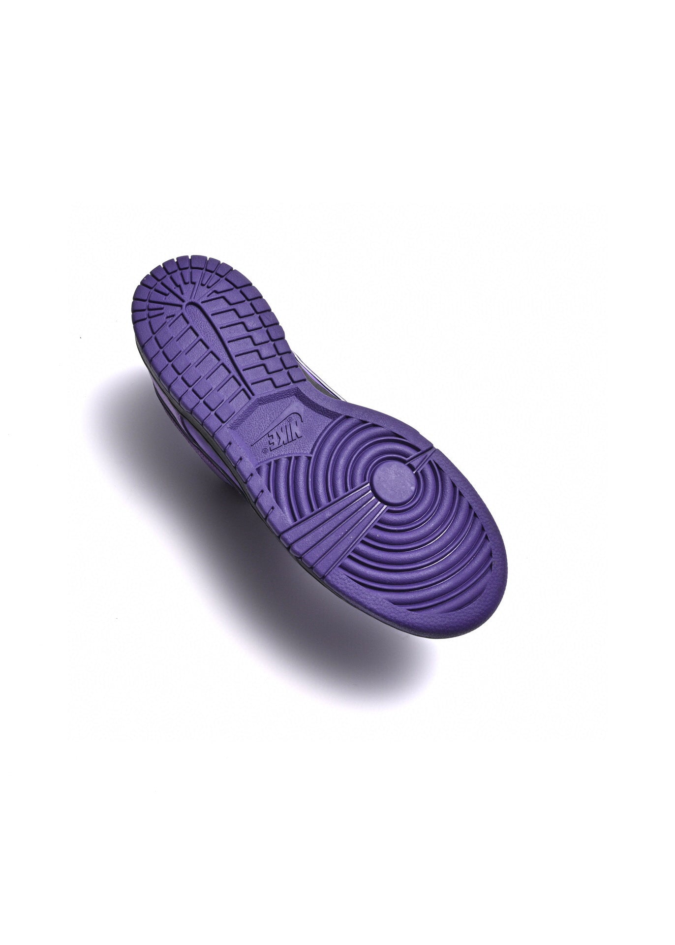 GLM - Concepts Purple Lobster