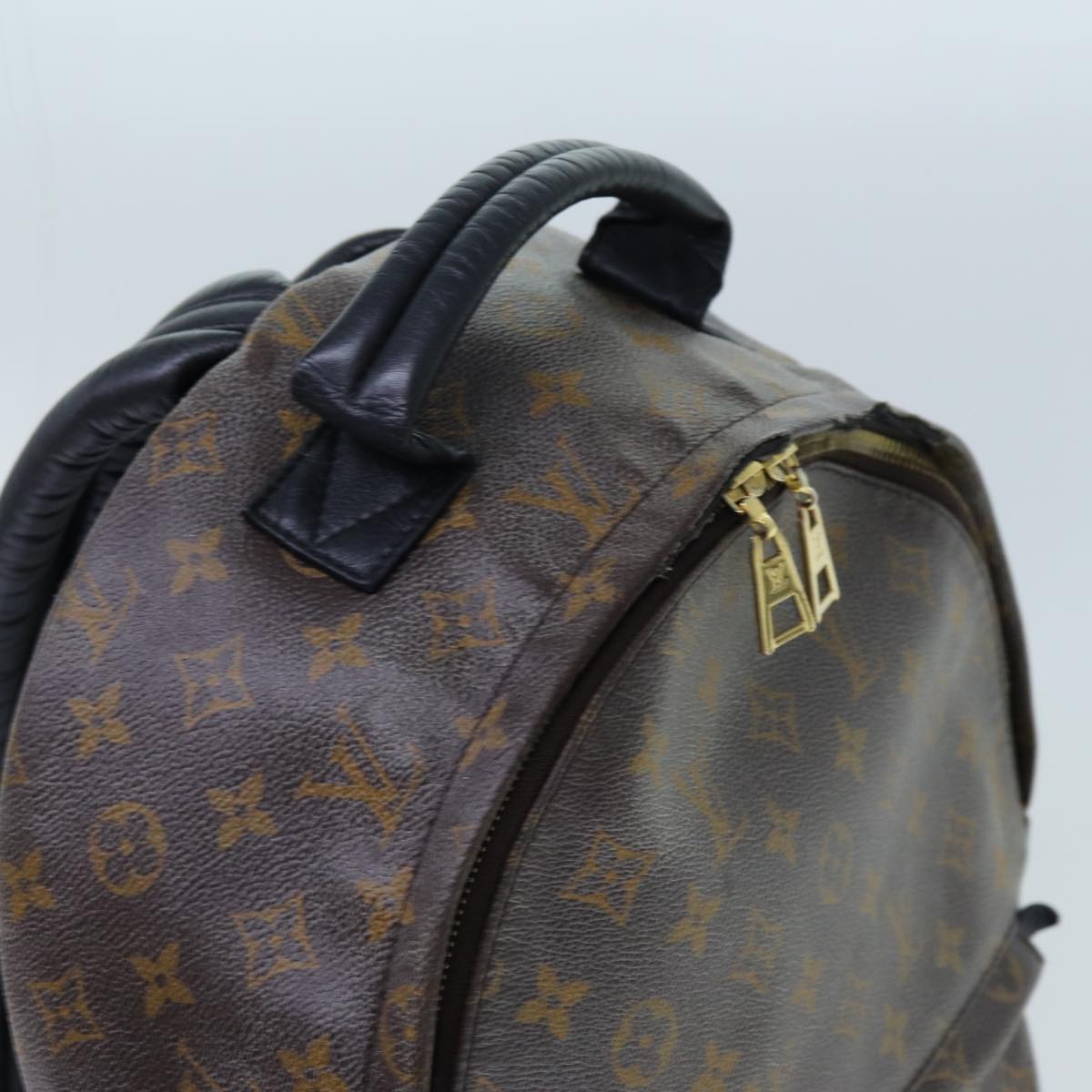 LOUIS VUITTON Monogram Palm Springs MM Backpack M44874 LV ep4014