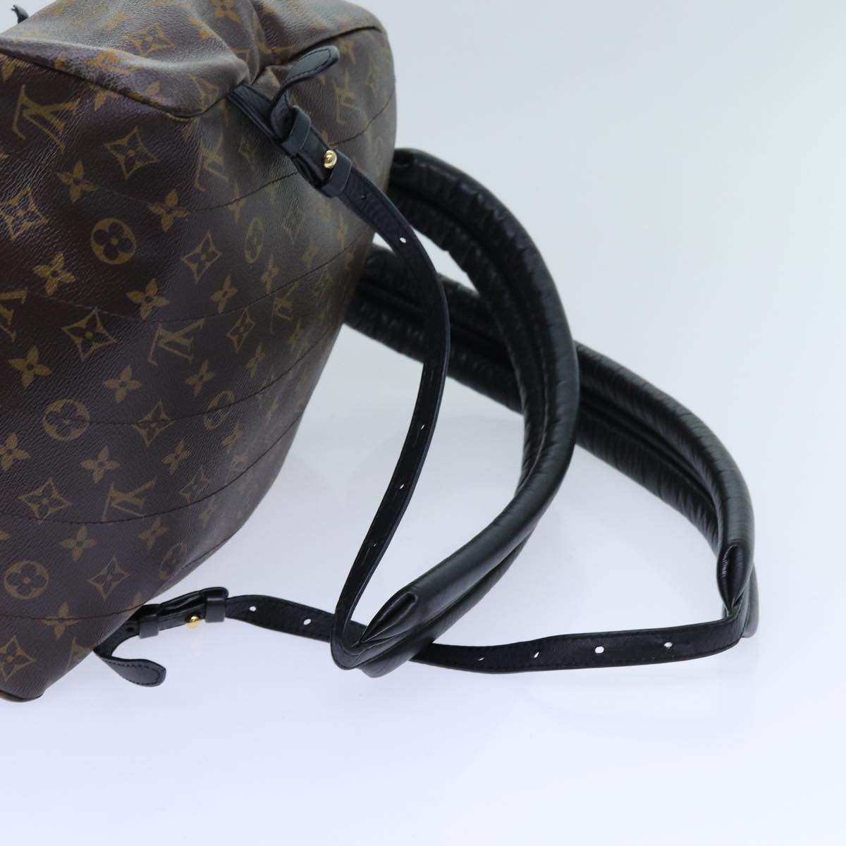 LOUIS VUITTON Monogram Palm Springs MM Backpack M44874 LV ep4014