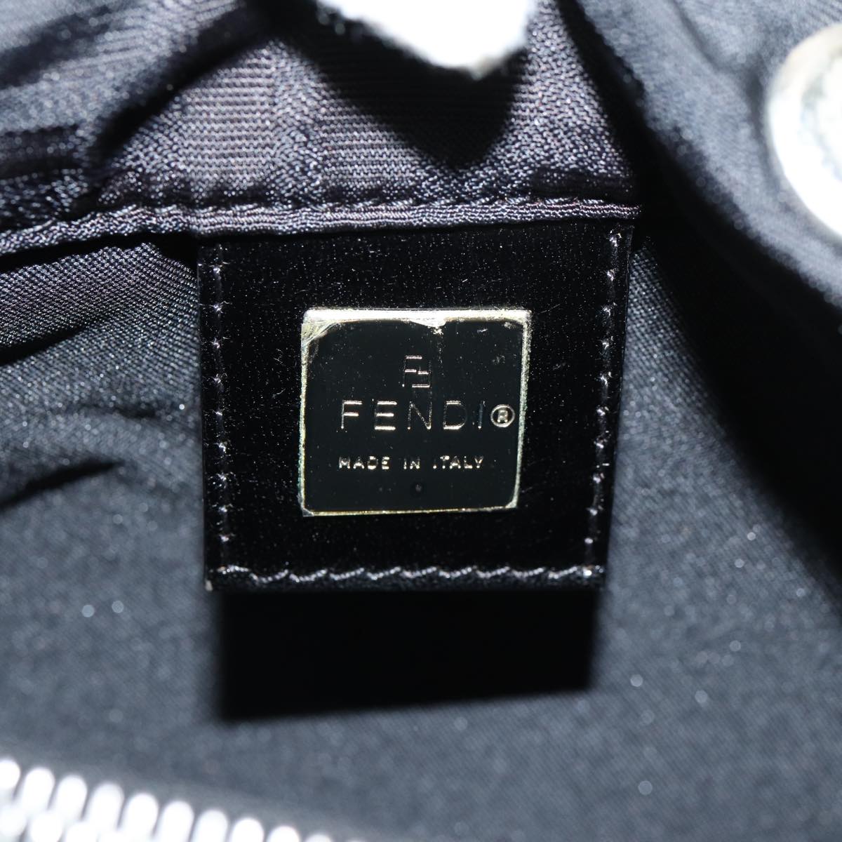 FENDI Zucca Canvas Hand Bag Black ep4339