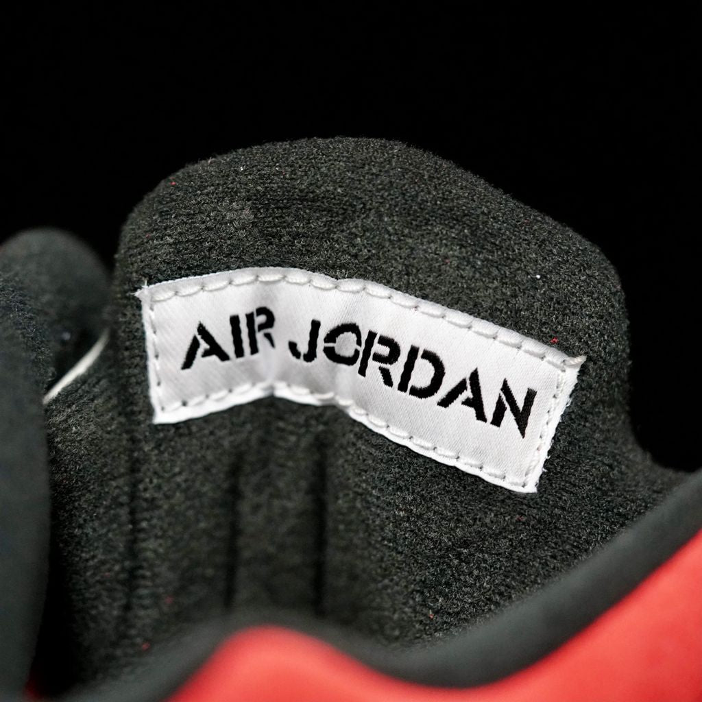 GLM - AJ5 Angry Bull