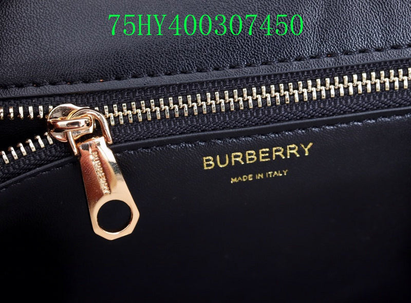 Fan Fashion -GLM - Top quality BBR Bags - 310