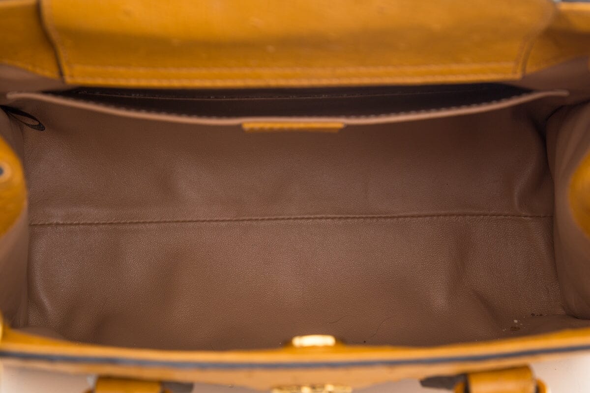 Gucci Brown Ostrich Diana Handbag