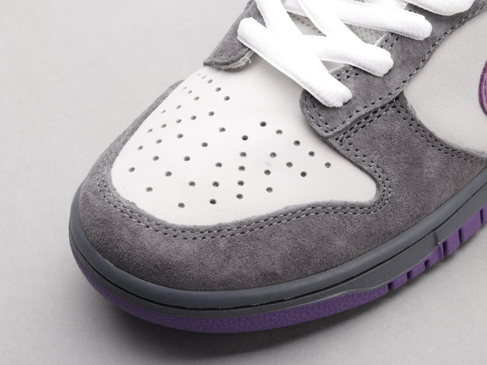 GLM - Grey-purple pigeon