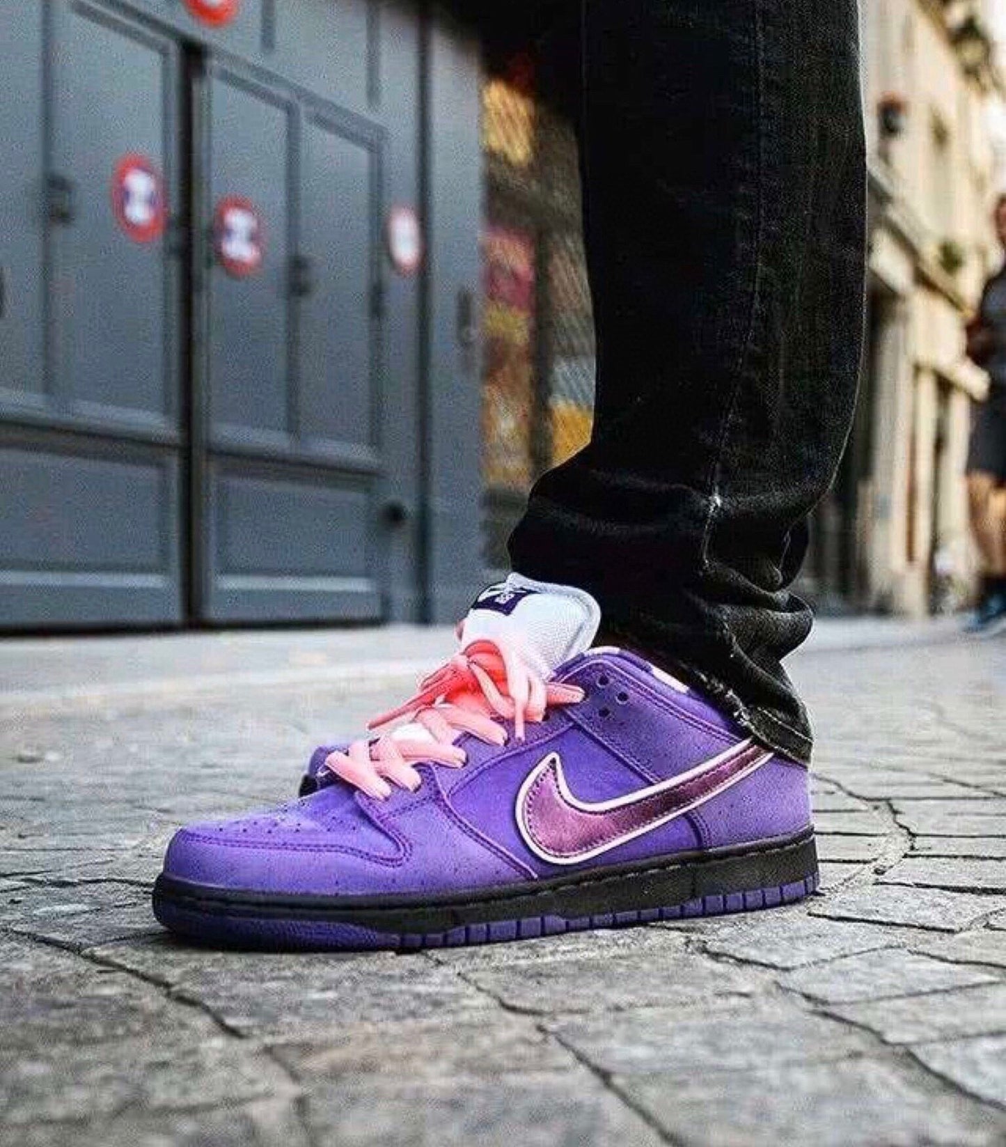 GLM - Concepts Purple Lobster