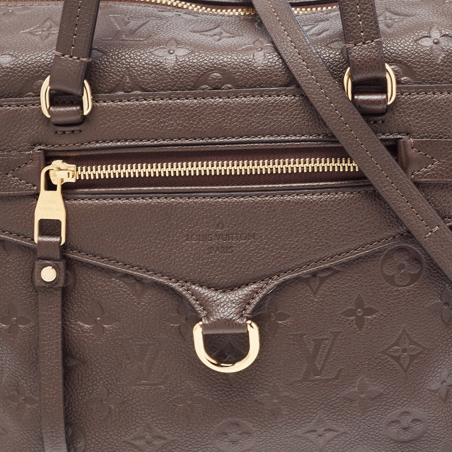 Louis Vuitton Earth Monogram Empreinte Leather Lumineuse Pm Bag