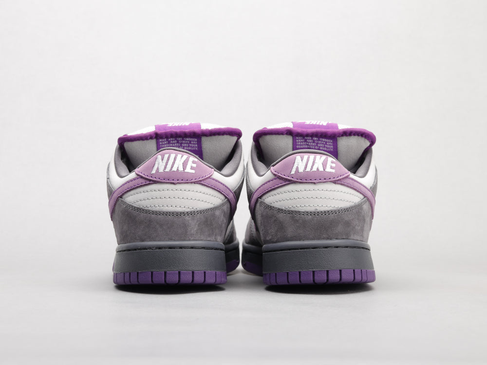 GLM - Grey-purple pigeon
