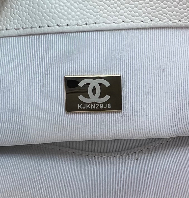 Satchel Bags - CHL Bags - 2819