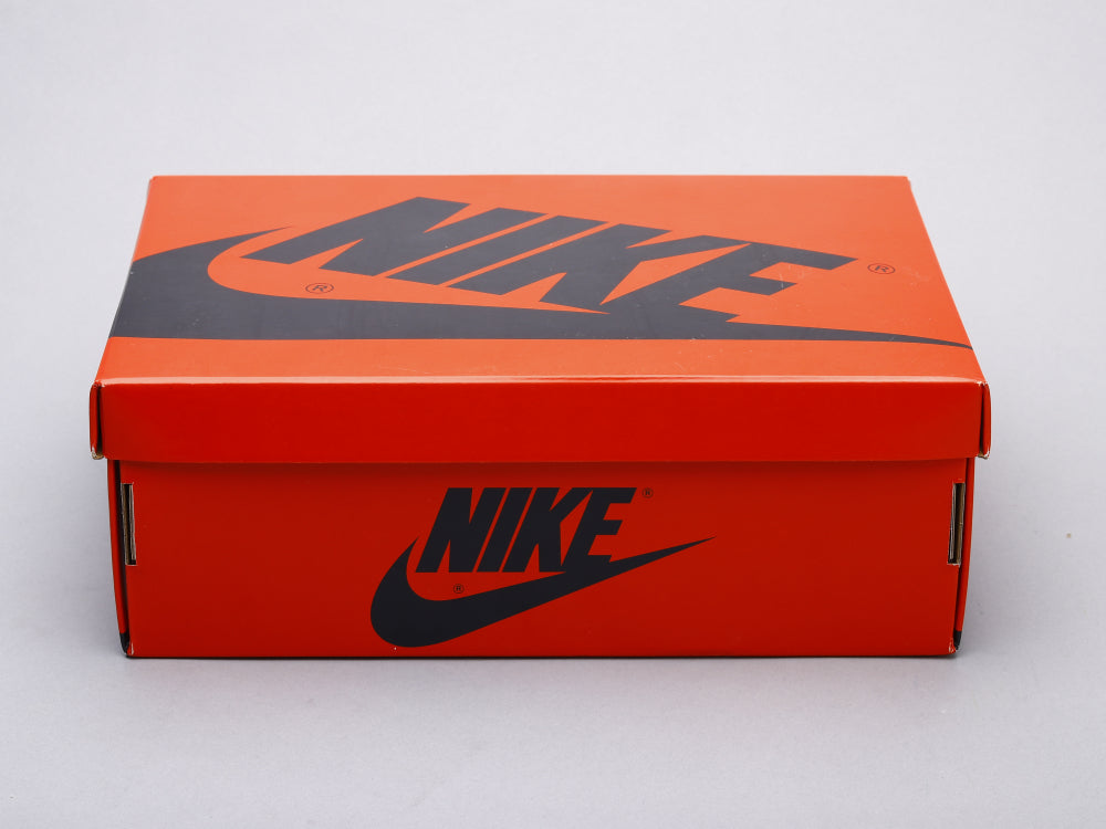 GLM - AJ1 Fearless Chameleon