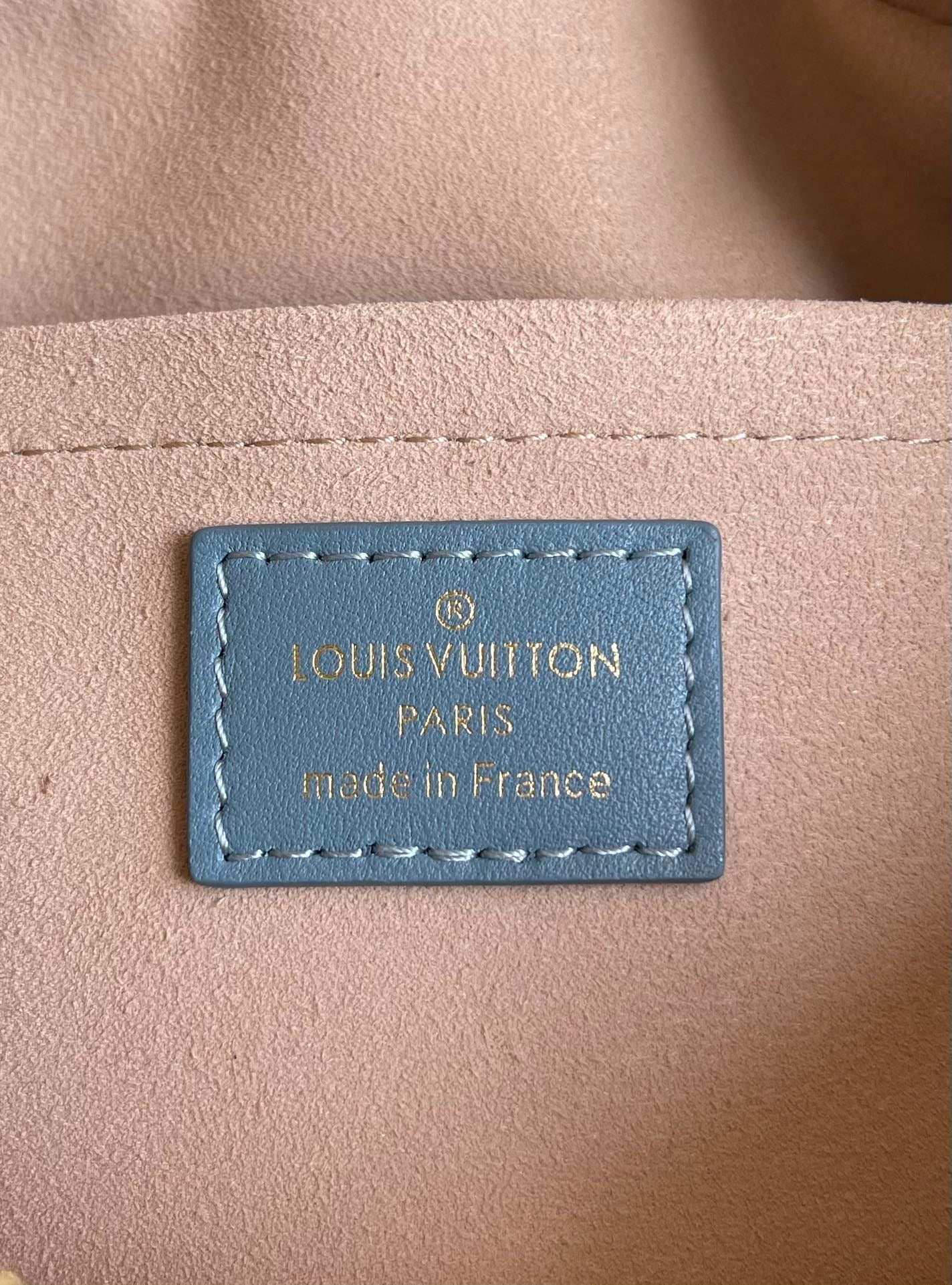 Louis Vuitton Troca PM Bag