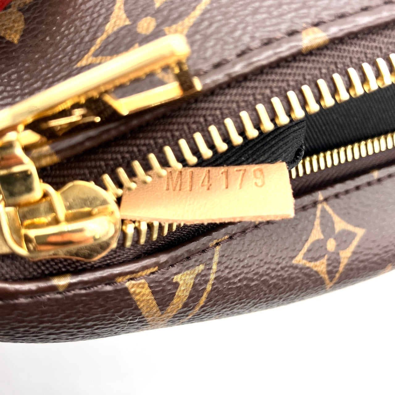 LOUIS VUITTON Monogram Bum bag