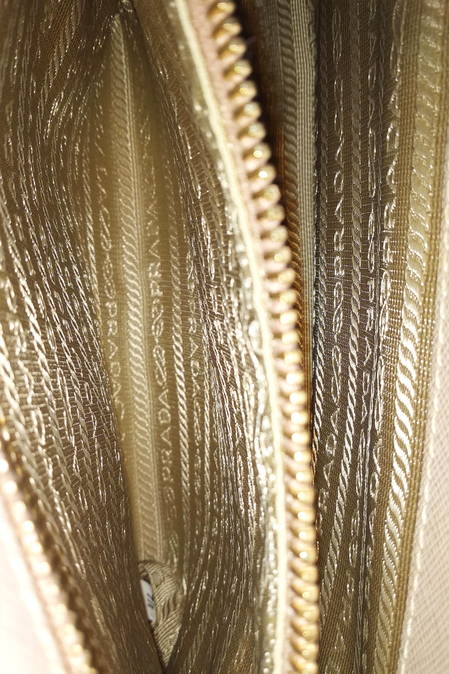 Medium Saffiano Lux Promenade Cammeo